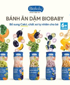 Bánh Ăn Dặm Biobaby 40g – Bổ Sung Canxi & Chất Xơ Tự Nhiên Cho Bé 6 Tháng+ | Cải Kale, Mận, Việt Quất, Bí Đỏ