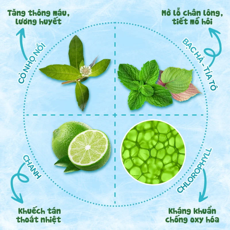 Thanh-phan-khan-ha-sot-Dr.Papie-3