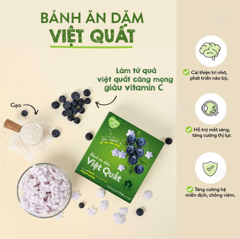 Bánh ăn dặm Mammy vị Việt Quất 12g cho bé từ 6 tháng – giòn tan, bổ sung vitamin C, tốt cho thị lực & tiêu hóa