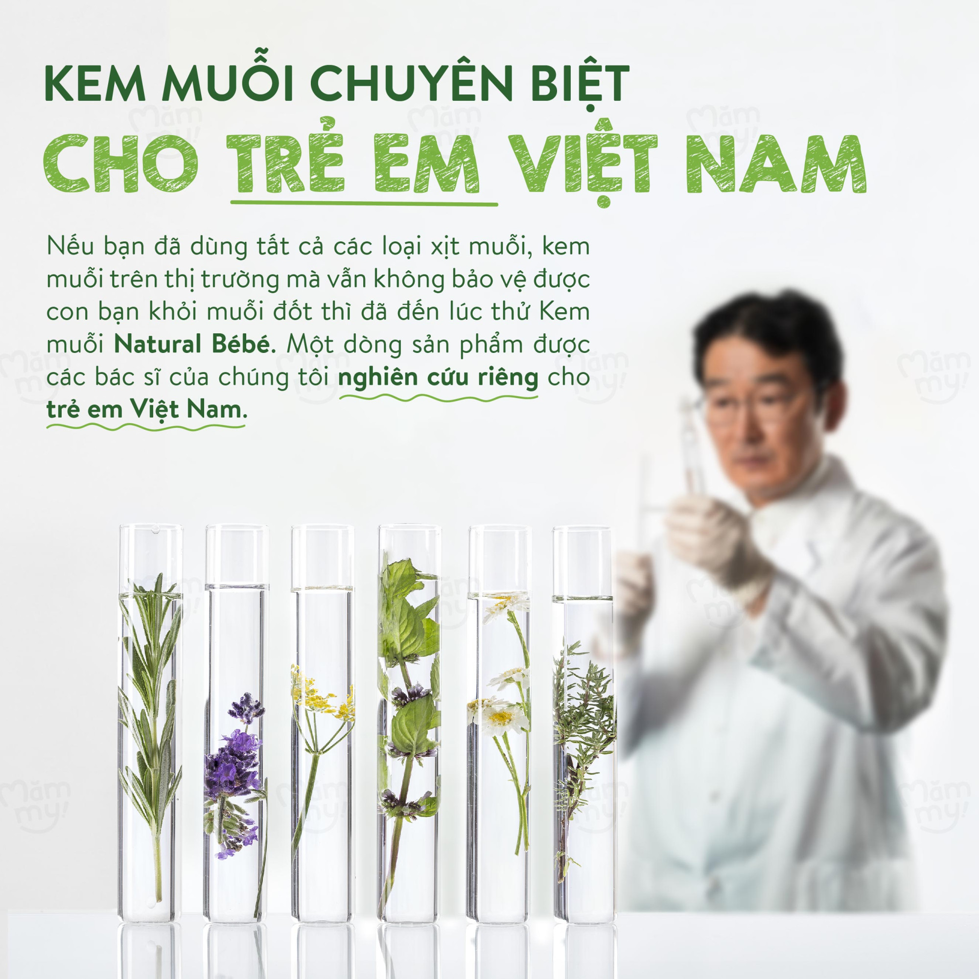 mt-kem-muoi-recovered-12