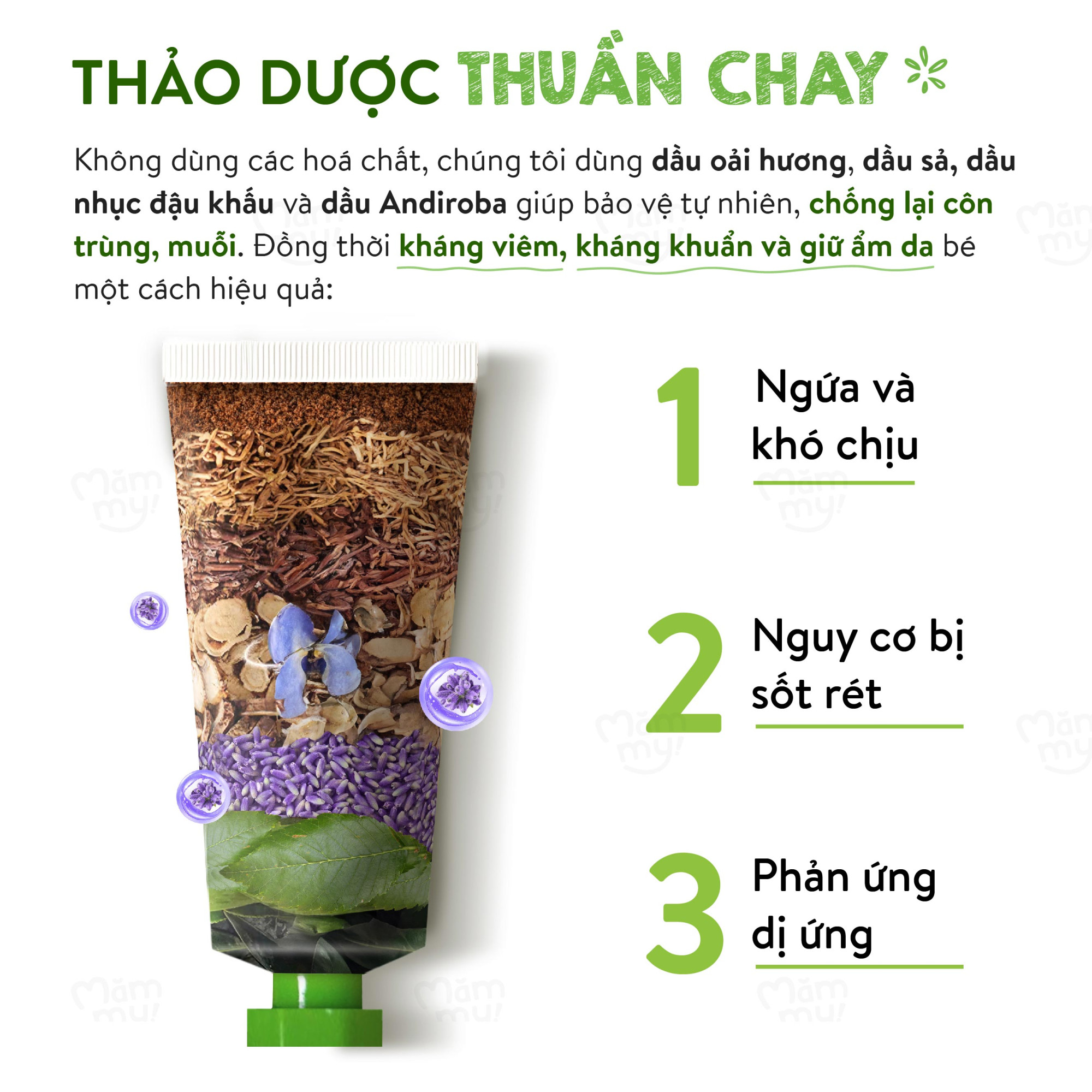 mt-kem-muoi-recovered-16