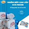 Khăn Ướt Cao Cấp ECO FRESH 100 Tờ Dành Cho Trẻ Sơ Sinh Xanh - Trắng | Mềm Mịn, Không Cồn, Không Paraben, Dịu Nhẹ An Toàn Cho Da Bé