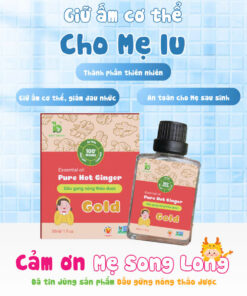 Dầu Gừng Nóng Thảo Dược Gold 30ml – Giữ Ấm Cơ Thể, Thư Giãn, Giúp Cảm Thấy Dễ Chịu, An Toàn Cho Mẹ Sau Sinh